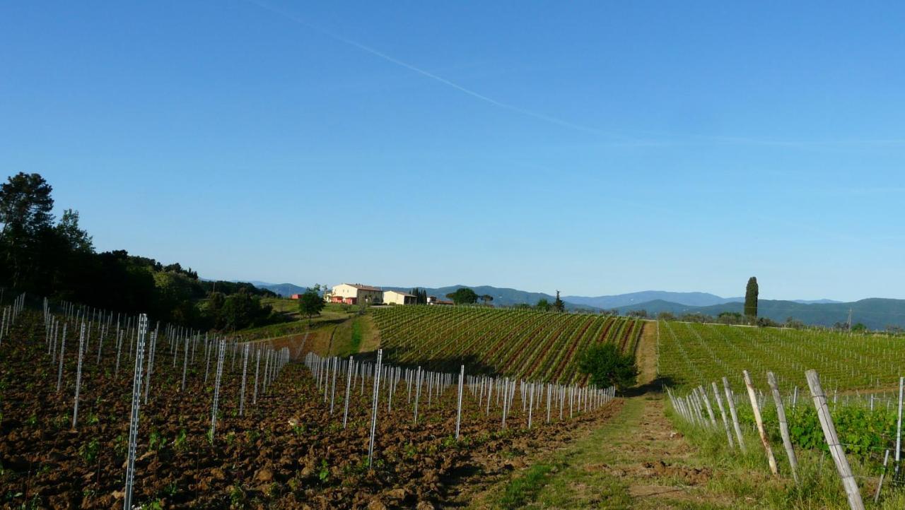 Villa Pian De Noci - Tenuta Del Palagio Mercatale Val Di Pesa Exteriér fotografie